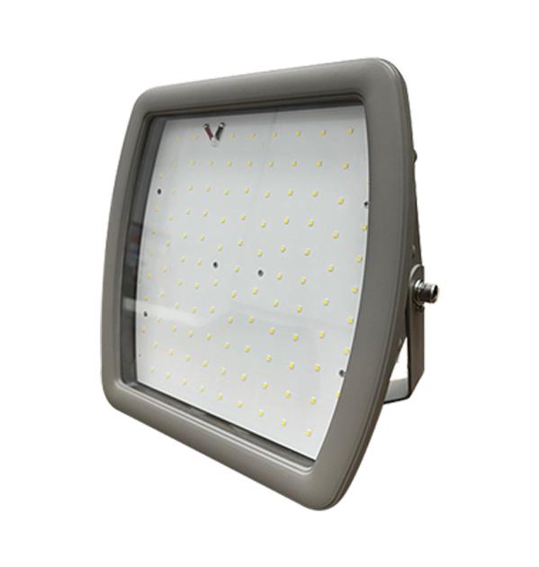 Explosion Proof Flood Light